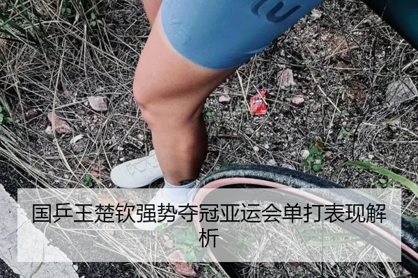 国乒王楚钦强势夺冠亚运会单打表现解析